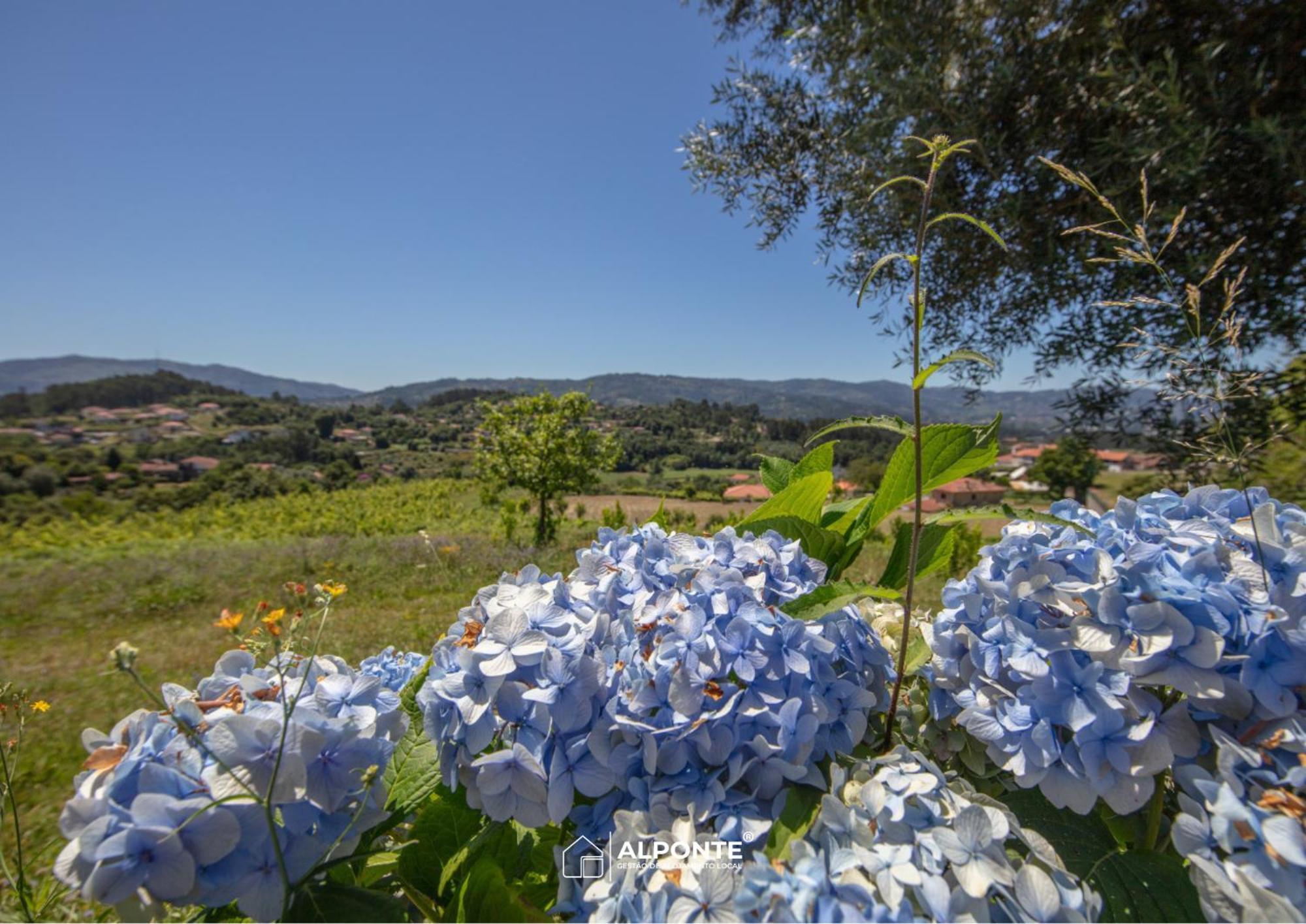 فيلا Quinta Da Costeira - Casa Azul Do Limoal By Alponte اركوس دي فالديفيز المظهر الخارجي الصورة