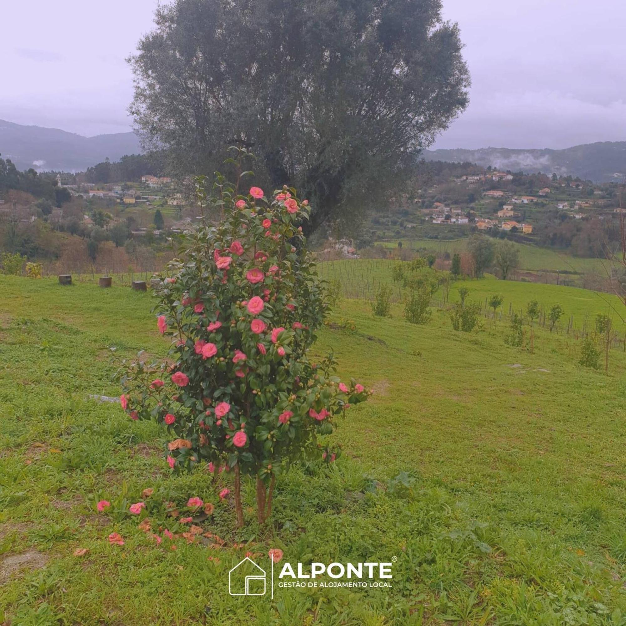 فيلا Quinta Da Costeira - Casa Azul Do Limoal By Alponte اركوس دي فالديفيز المظهر الخارجي الصورة